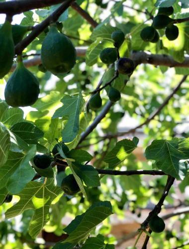 Villa Con Piscina In Abruzzo - A 7 Minuti Dal Mare