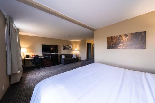 Hotel Cobblestone Inn & Suites - Trenton