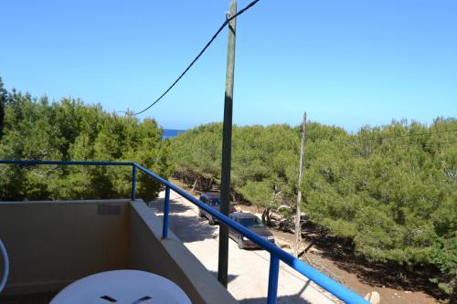 Apartamentos Cas Xurrac