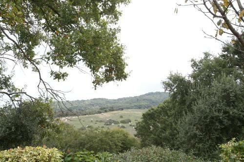 Apartamento Villa Gusto E Benessere Country House