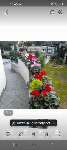 Apartamento Appartamento Al Primo Piano Grazia