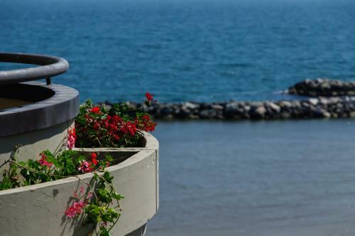 Apartamento Residence Belvedere Vista