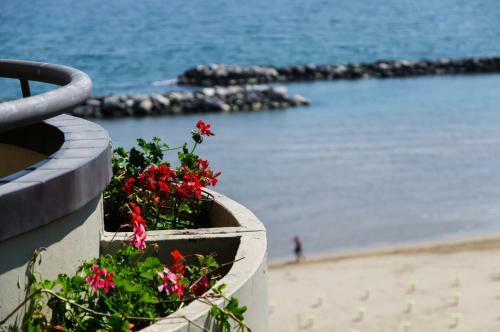 Apartamento Residence Belvedere Vista