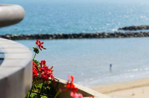 Apartamento Residence Belvedere Vista