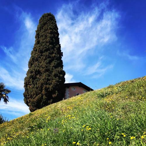 Agroturismo Agriturismo Valsiniga