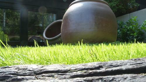 Hotel & Spa Am Oppspring