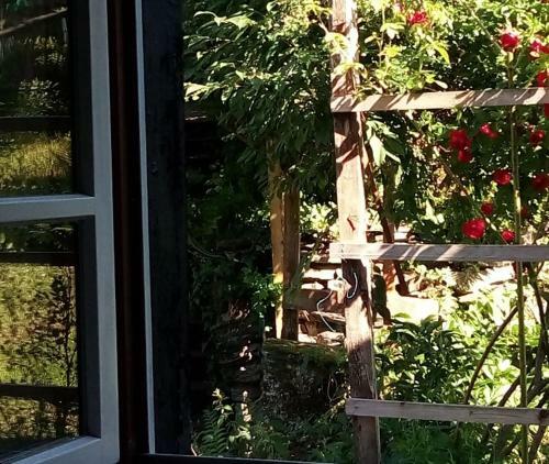 Apartamento Haus Am Oberen M�hlenberg Mit Gartennutzung