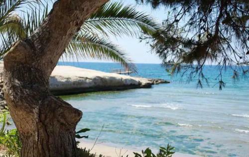 Apartamento Estrella Del Mar