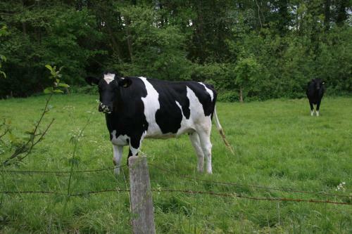 Apartamento Wohnung M�we
