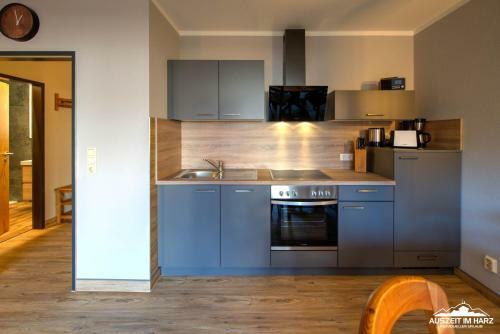 Apartamento Auszeit Im Harz - Haus Am See