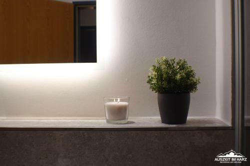 Apartamento Auszeit Im Harz - Haus Am See
