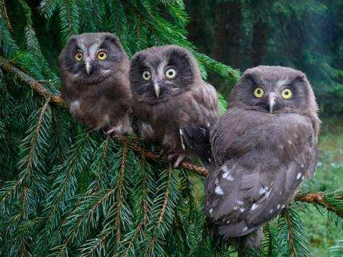 Apartamento Eishexe