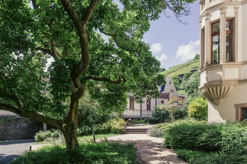 Apartamento Fewo Schlossberg Weingut C.a. Haussmann