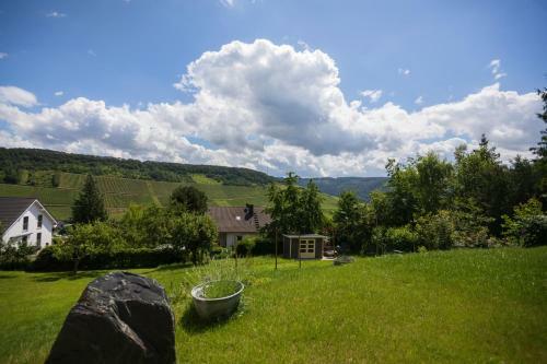 Apartamento Ferienwohnung Moselpanorama