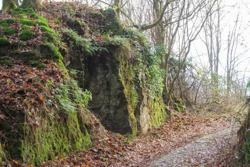 Apartamento G�stehaus An Der Moseltherme