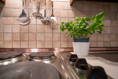 Apartamento Plaza Premium Timmendorfer Strand Waldblick