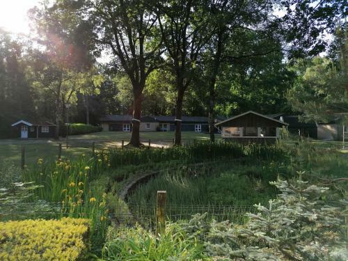 Albergue Waldjugendherberge Uelsen