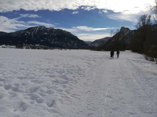 Alpenhaus Ammertal