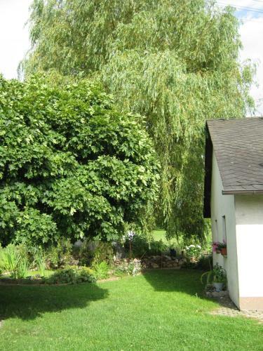 Hotel Stierstall-suite Pension Wahlenau