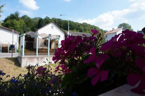 Apartamento Die Sch�nste Unterkunft Im Odenwald