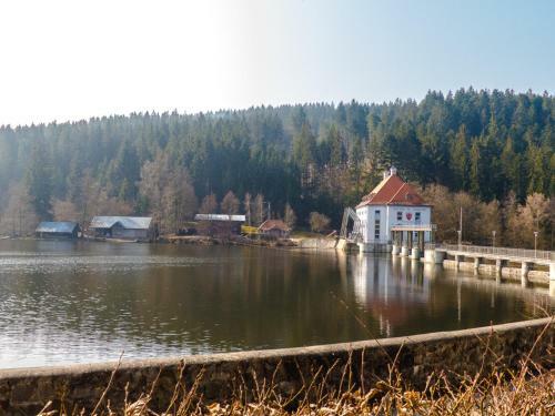 Ferienhaus Nr 9b1, Feriendorf Hagb�gerl, Bayr Wald