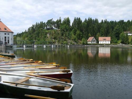 Ferienhaus Nr 7a3, Feriendorf Hagb�gerl, Bayr Wald