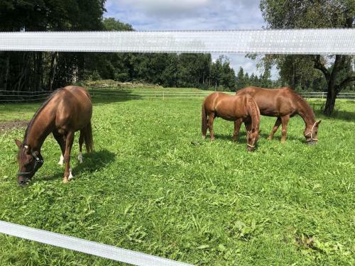 Agroturismo Ferienhof Weber Nieratz