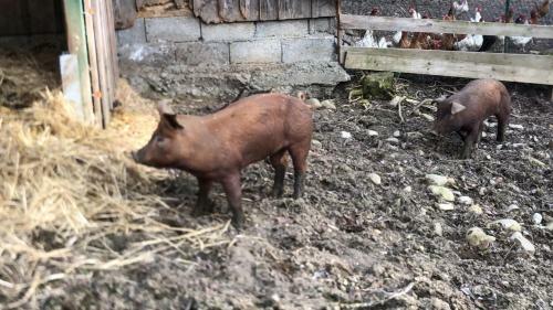 Agroturismo Ferienhof Weber Nieratz