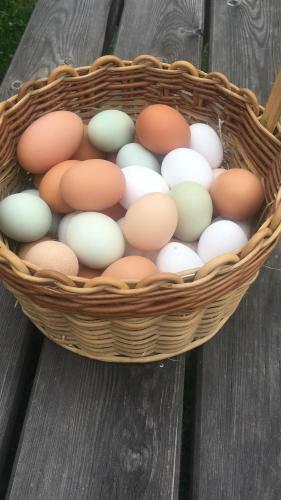 Agroturismo Ferienhof Weber Nieratz