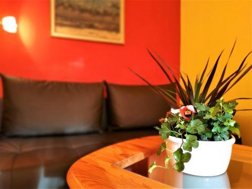 Apartamento Ferienwohnungen Am Seeufer 11