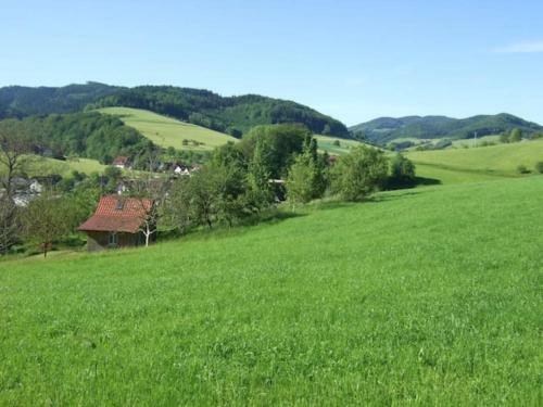 Sonniges-naturnahes-schwarzwald-ferienhaeuschen