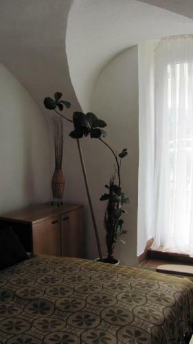 Hostal Pension Nussdorf