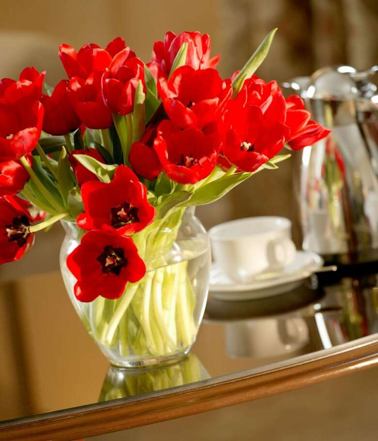 Hotel Fairmont Palliser