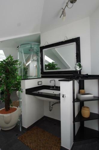 Luxury Apartment Bonn