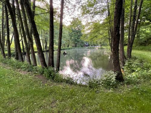 Apartamento Ferienwohnung Up Willingen-schwalefeld