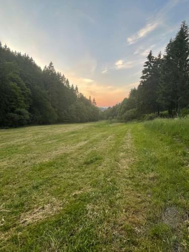 Apartamento Ferienwohnung Up Willingen-schwalefeld