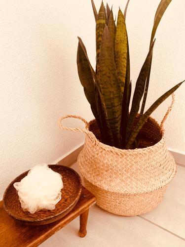 Apartamento Mitten Im Dorf