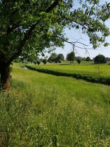 Apartamento G�stewohnung Wasserzucht