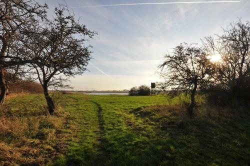 Emilias H�s, Reethaus In Der Bucht Von Wismar