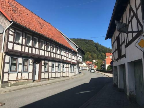 "altes Haus" Am Kurpark In Den Bergen