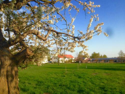 Apartamento Ferienwohnung Zweinig 01