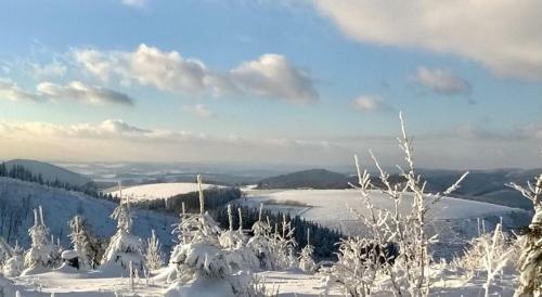 Hotel Wittgensteiner Landhaus Winterberg
