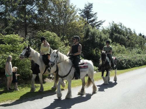 Lille Degnb�l Holiday House