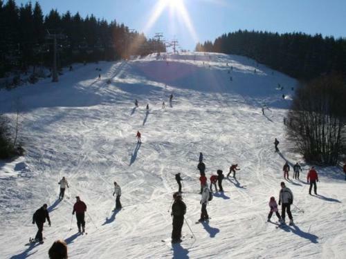 Apartamento Modern Studio With Private Terrace In Winterberg-z�schen