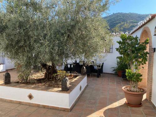 Viaui Villa Arenas