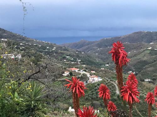 2 Bed Villa With Stunning Campo Views Near Competa