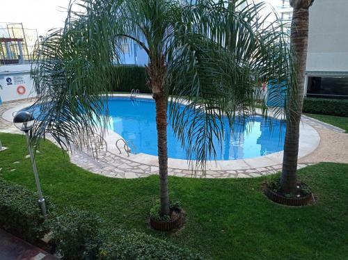Apartamento Palmeras III