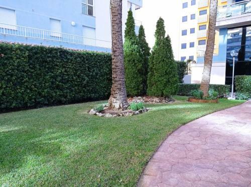 Apartamento Palmeras III