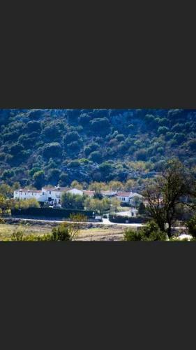 Apartamento Cortijo Fuente Marchal