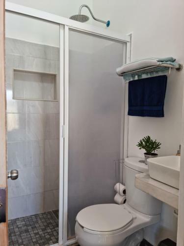 Apartamento La Casa Amarilla, Centrica, Barrio Local.